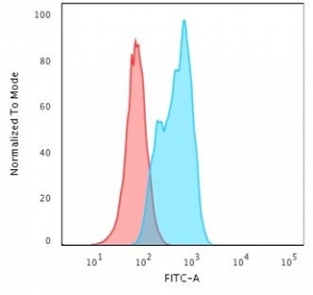 MSH2 Antibody