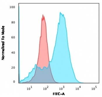 Recombinant FSP1 Antibody / S100A4