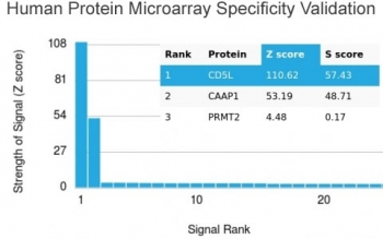 CD5L Antibody