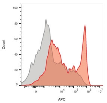 Recombinant CD8A Antibody