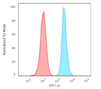 Histone H1 Antibody