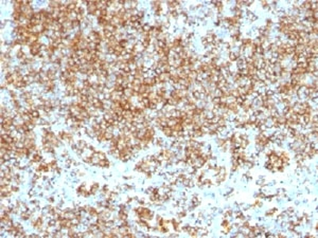 CD45 Antibody Cocktail