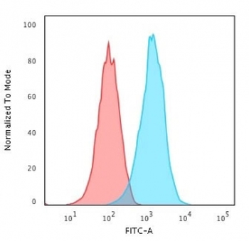 CD20 Antibody
