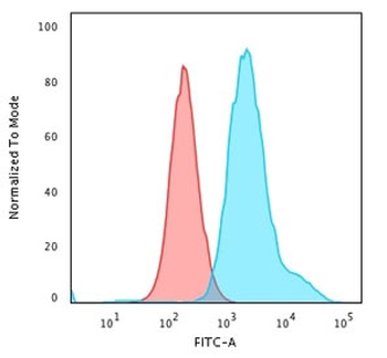 KRT7 Antibody / Cytokeratin 7