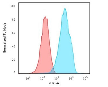 CD43 Antibody