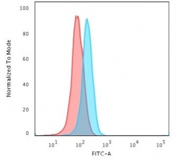 CD3 epsilon Antibody