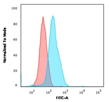 CD34 Antibody