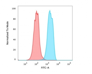 FOXA1 Antibody