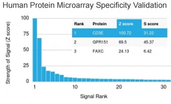CD3 epsilon Antibody