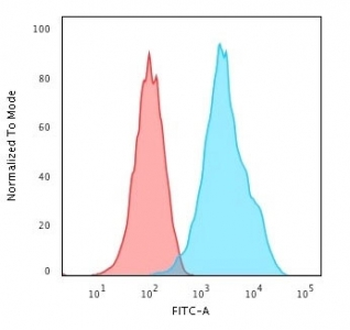 CD20 Antibody