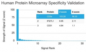 CD3e Antibody