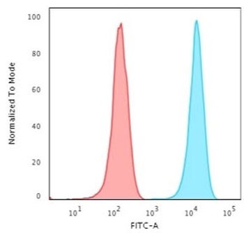 CD3 epsilon Antibody