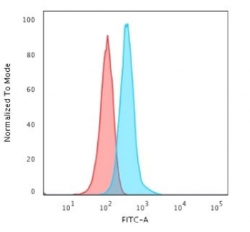 GFAP Antibody / Glial Fibrillary Acidic Protein