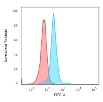 Nucleophosmin Antibody