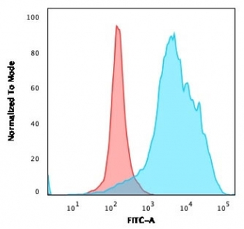 CD63 Antibody / LAMP-3