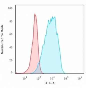 HLA-DQ Antibody (MHC II)