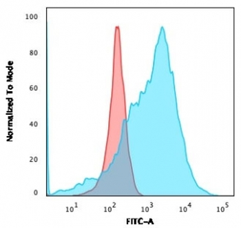 GLUT1 Antibody / SLC2A1