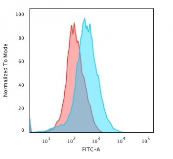 CD31 Antibody / PECAM-1