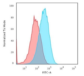 Albumin Antibody / ALB