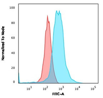 RORC Antibody / ROR gamma