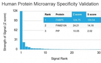 FABP5 Antibody