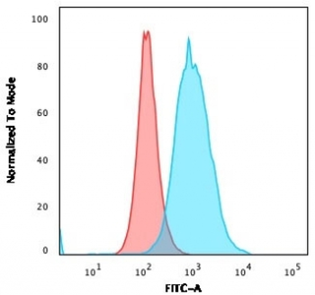 Thymidylate Synthase Antibody