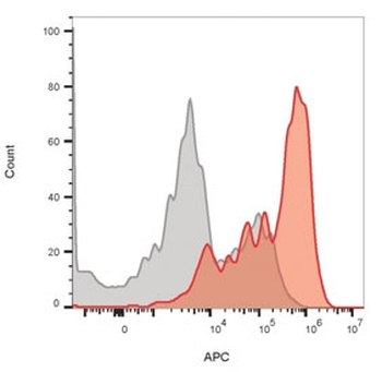 CD3 epsilon Antibody