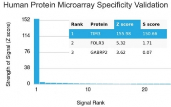 TIM3 Antibody / HAVCR2