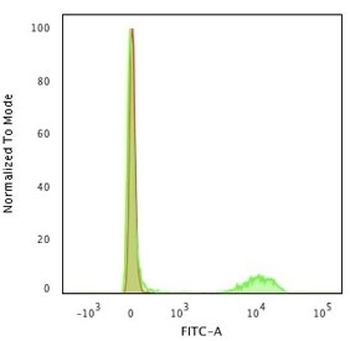 CD4 Antibody