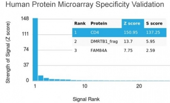 CD4 Antibody