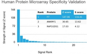 Factor VII Antibody
