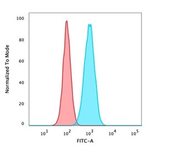 p40 / deltaNp63 Antibody