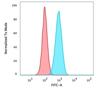 deltaNp63 Antibody / p40