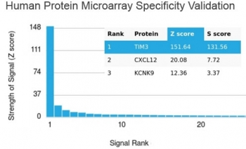 TIM-3 Antibody / HAVCR2