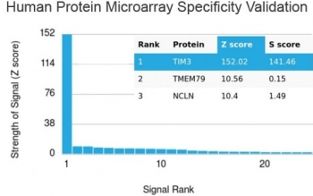 TIM3 Antibody / HAVCR2