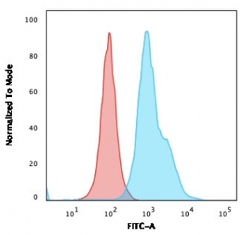 HLA-DRB1 Antibody (MHC II)