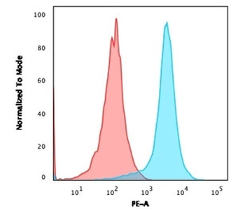 PECAM-1 Antibody PE Conjugate