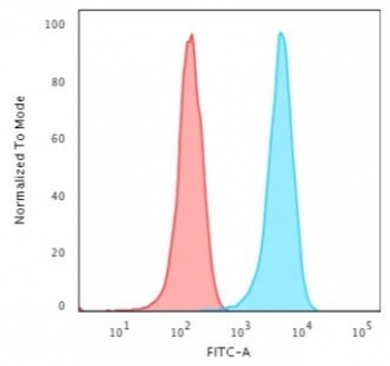CD3 epsilon Antibody