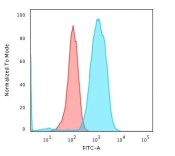 CD79a Antibody