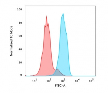 FOXA1 Antibody