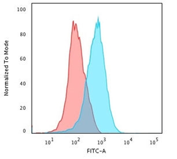 CD31 Antibody / PECAM-1