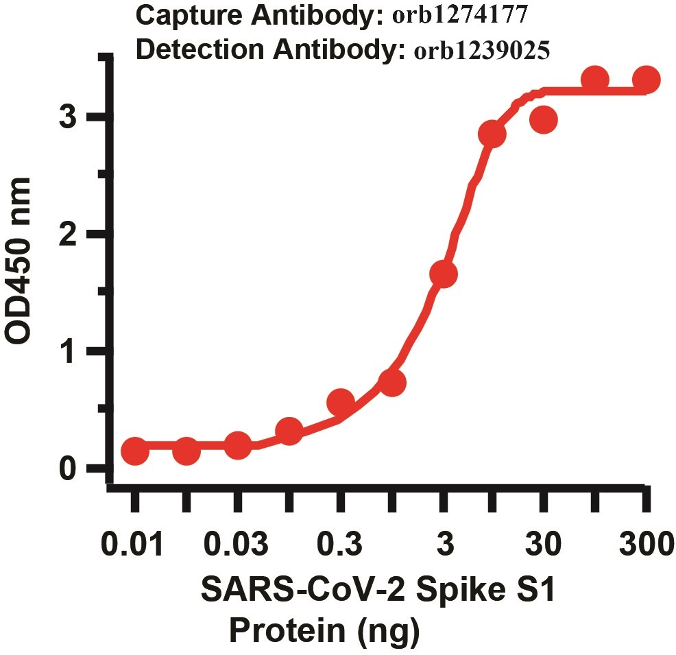 SARS-CoV-2 (COVID-19) Spike Matched Pair