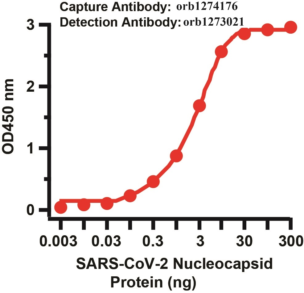 SARS-CoV-2 (COVID-19) Nucleocapsid Matched Pair