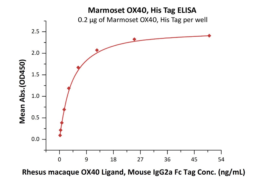 LRP-5 Recombinant Protein