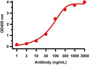 SARS-CoV-2 (COVID-19) ORF8 Antibody