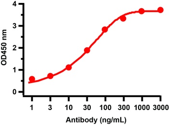 SARS-CoV-2 (COVID-19) NSP7 Antibody