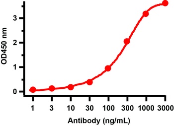 SARS-CoV-2 (COVID-19) NSP16 Antibody