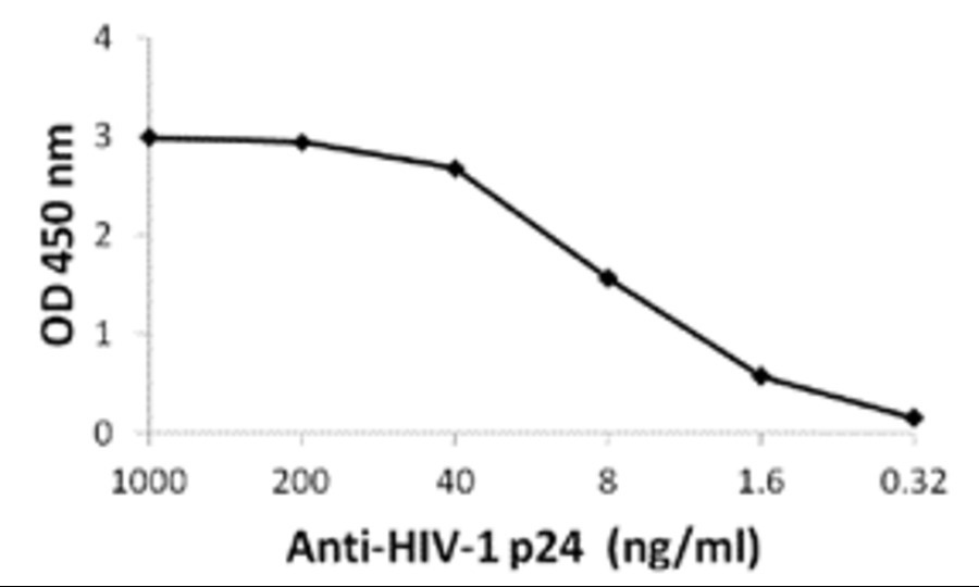 HIV-1 p24 Antibody [7F4]