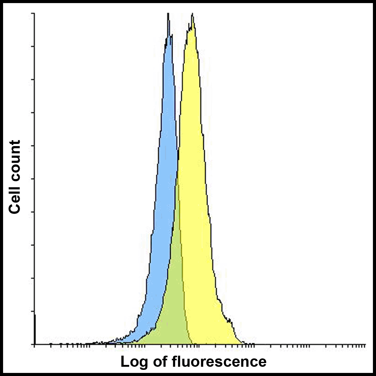 PDL1 Antibody [8E12]
