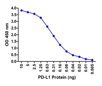 PDL1 Antibody [1D7]
